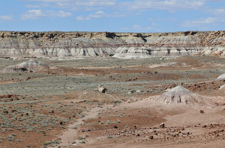 Petrified Forest - Painted Desert, Giant Logs Trail