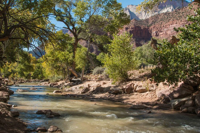 Zion NP - Watchman Trail