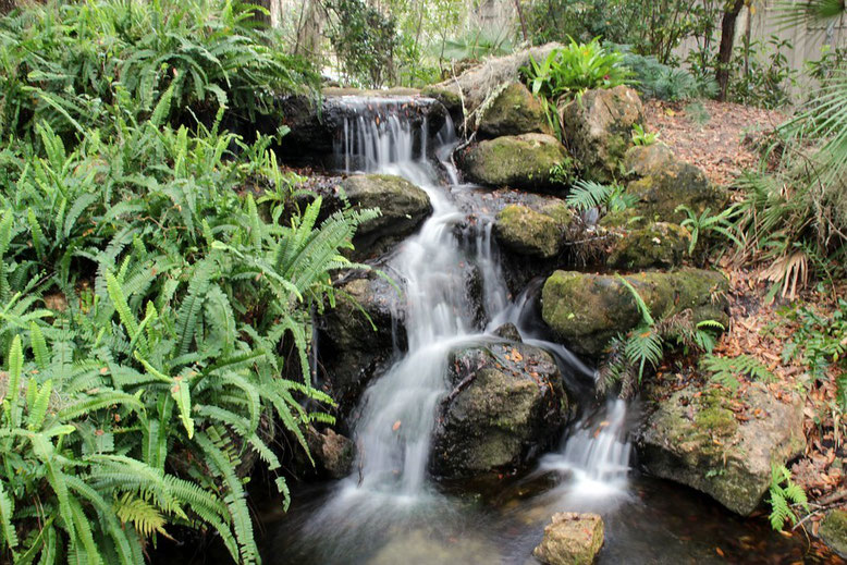 Rainbow Springs State Park