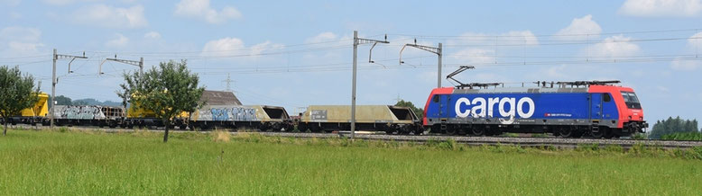 Bahnfoto Schweiz SBB Re 484 P.Trippi