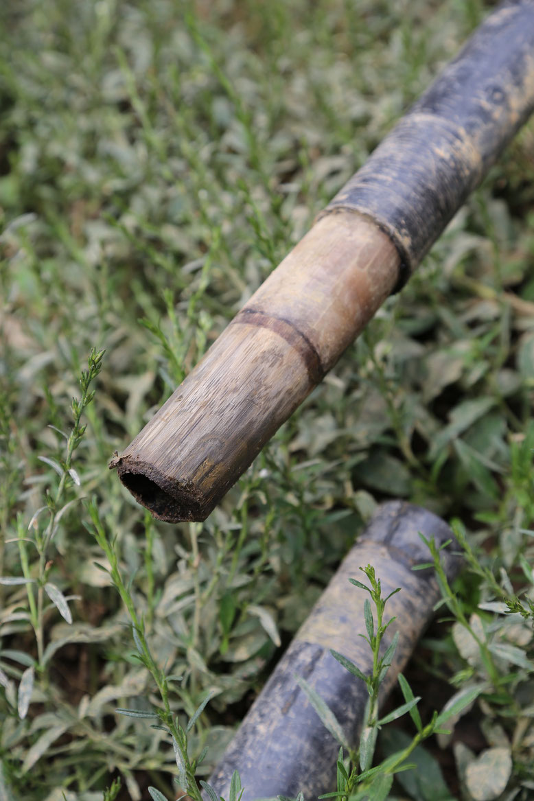 Comment raccorder 2 tuyaux au Laos ? Facile !!! Utiliser un bout de bambou comme manchon ...