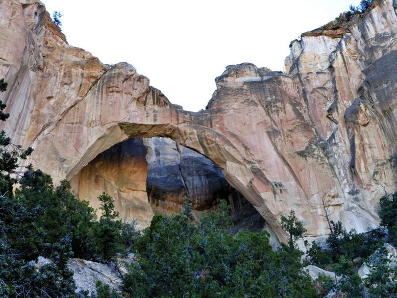 Ventana Arch
