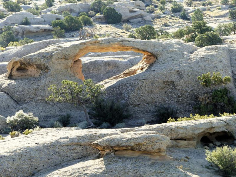 Coyote Arch