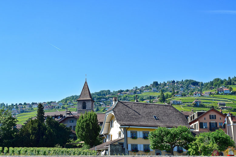 A Scenic Hike through the Vineyards of Lavaux, Switzerland