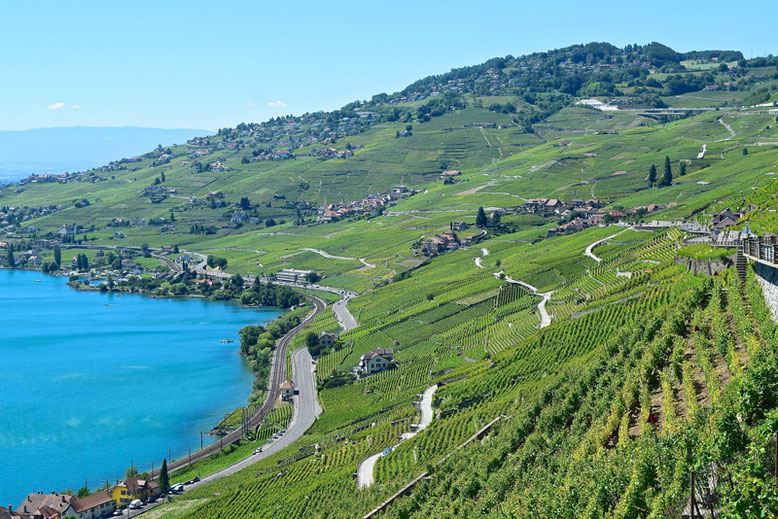 A Scenic Hike through the Vineyards of Lavaux, Switzerland