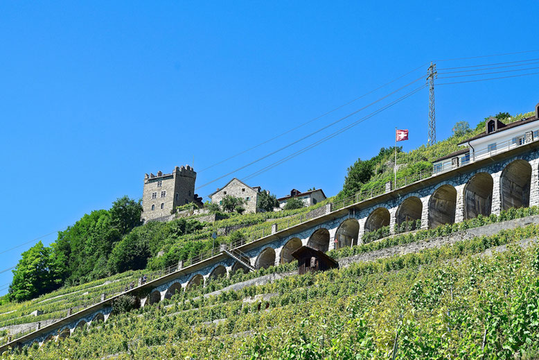 A Scenic Hike through the Vineyards of Lavaux, Switzerland