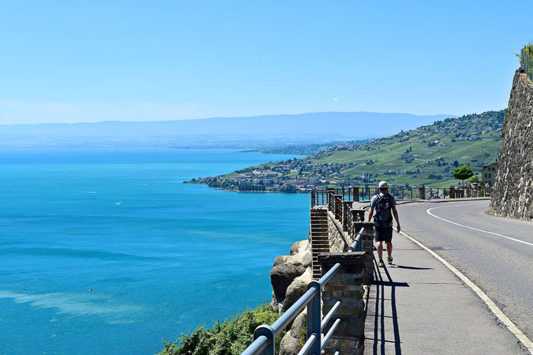 A Scenic Hike through the Vineyards of Lavaux, Switzerland