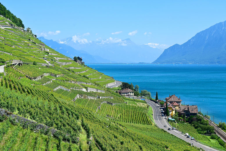 A Scenic Hike through the Vineyards of Lavaux, Switzerland