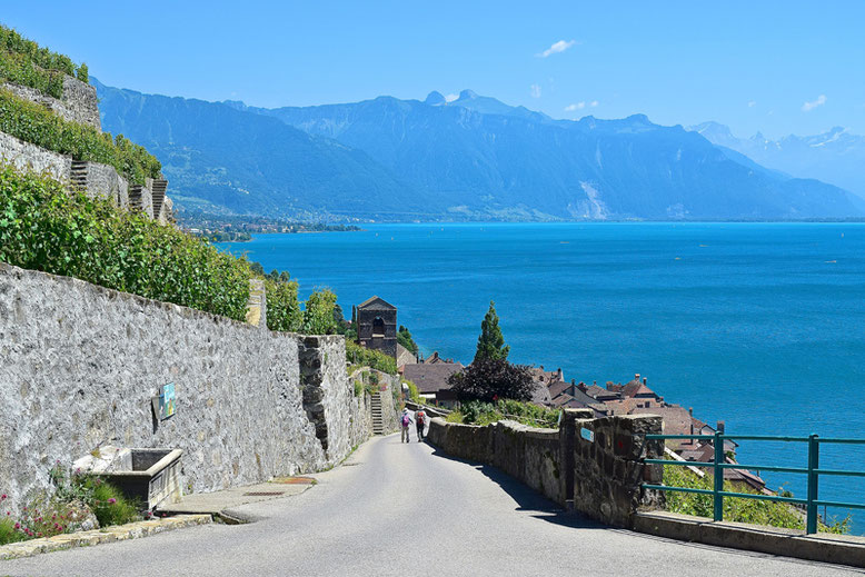 A Scenic Hike through the Vineyards of Lavaux, Switzerland