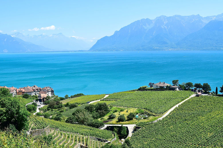 A Scenic Hike through the Vineyards of Lavaux, Switzerland