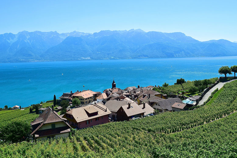 A Scenic Hike through the Vineyards of Lavaux, Switzerland