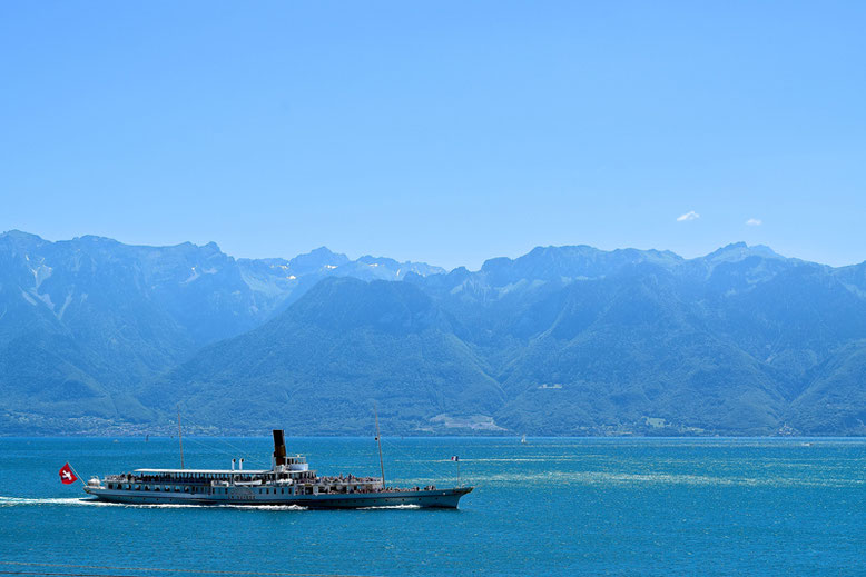 A Scenic Hike through the Vineyards of Lavaux, Switzerland