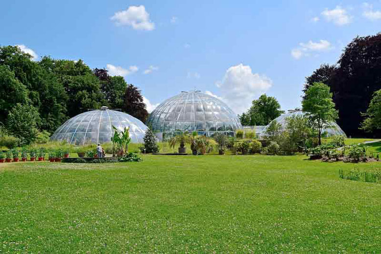 Unique and Cool Things to Do in Zurich, Switzerland - Botanical Garden