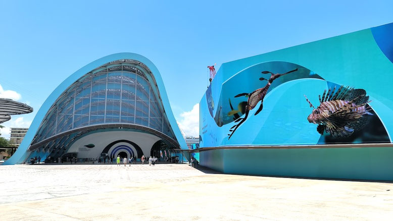 S.E.A. Aquarium Sentosa, Singapore