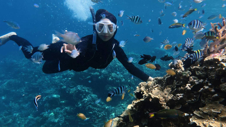 Pacchetto Snorkeling e Tour Bali