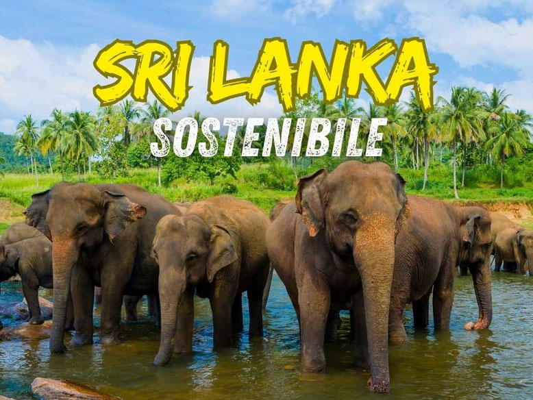 Viaggio di gruppo in Sri Lanka