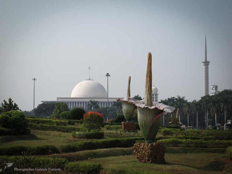 Uno scorcio di Merdeka Square a Jakarta (Photo by Gabriele Ferrando)