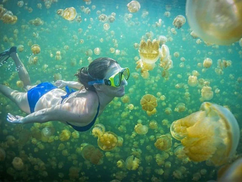 Diving in Indonesia. Immersioni Kalimantan