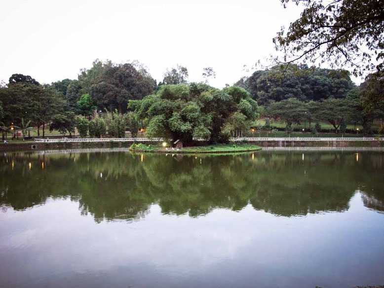 Kuala Lumpur: cosa vedere in 3 giorni. Lake Gardens 