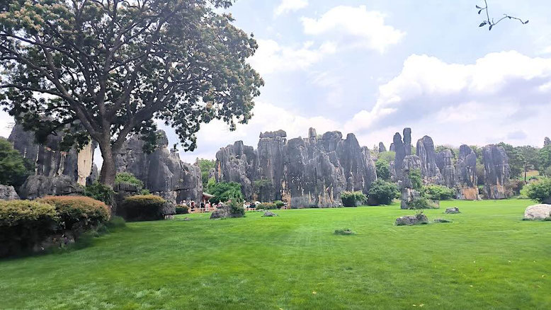 Stone Forest Kunming