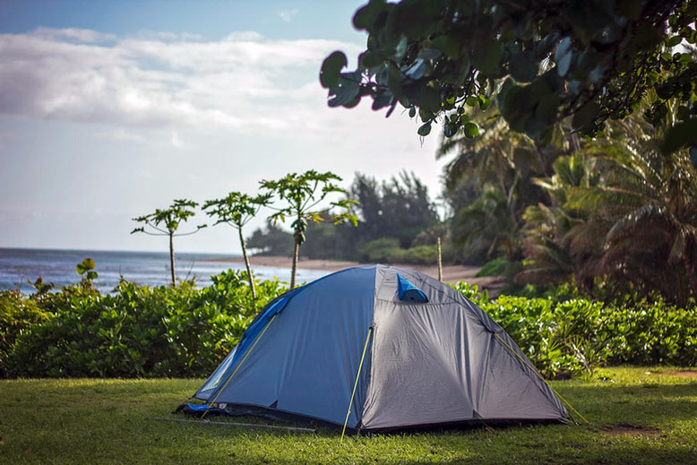 Our Billion Star Hotel at Haena Beach surrounded by coconut palms and papaya trees.