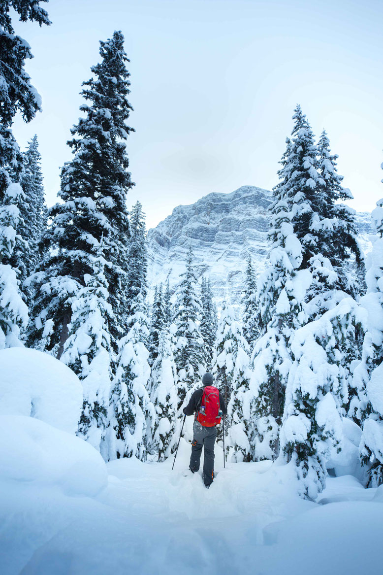 Canadian Rockies in Winter Snow Shoeing Boom Lake