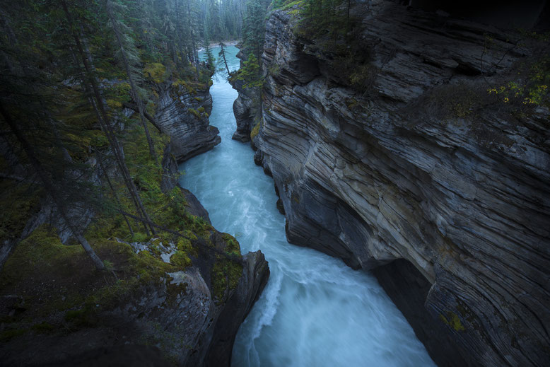 Travel Guide to the Canadian Rockies, park pass, Discovery Pass