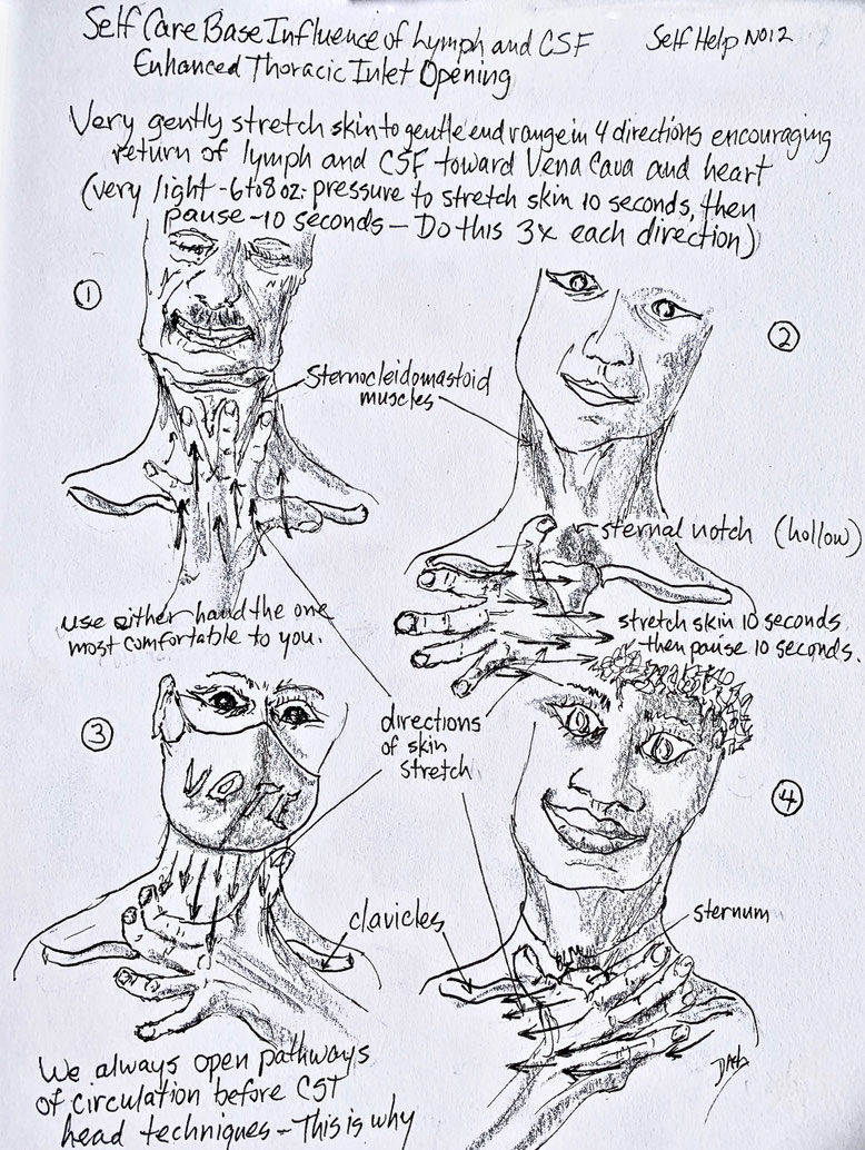 Diagram "Enhanced Thoracic Inlet Opening" Illustration Copyright Don Ash