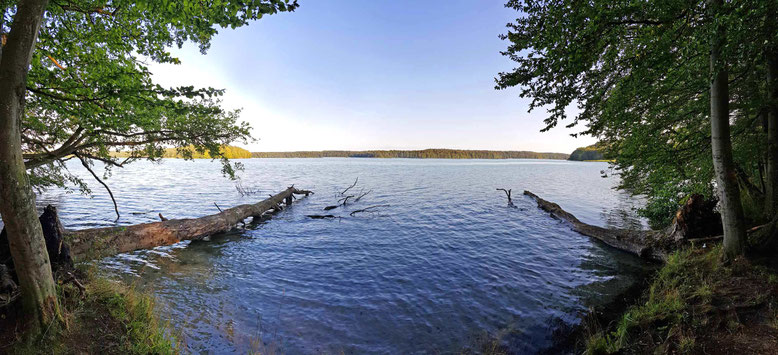 Großer Stechlinsee
