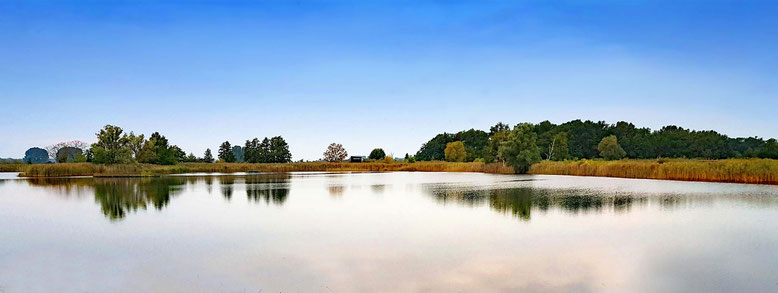 Teichlandschaft in der Nähe von Berlin