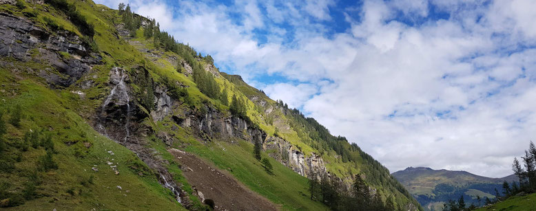 Hier brütet der Steinadler