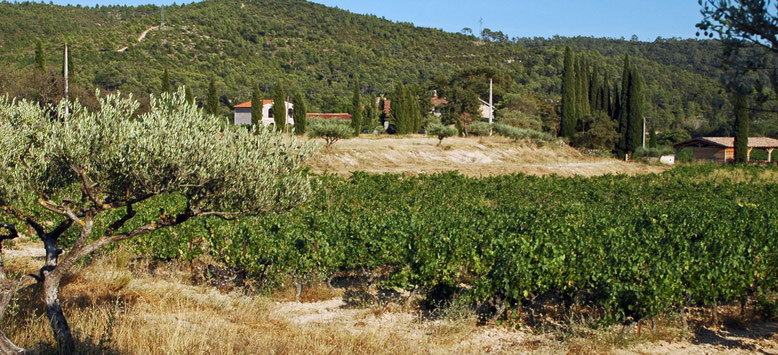 Le Domaine des Aspras à Correns, 1er village bio de France