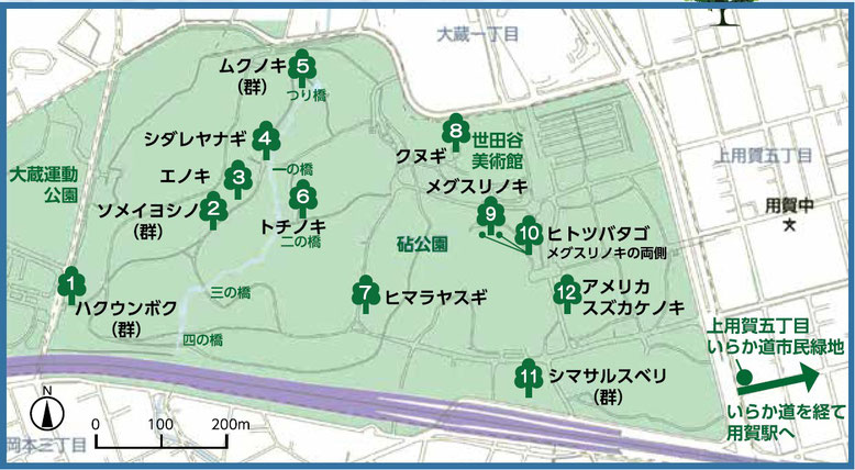 ▲砧公園の名木マップ