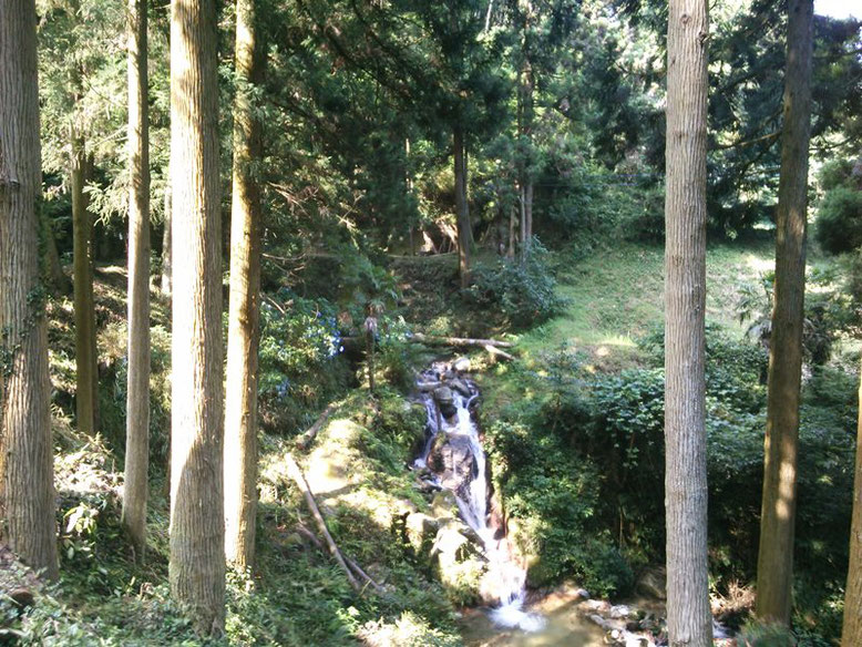 後鳥羽神社周辺の景色の写真