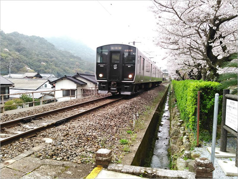 陶山神社線路上の電車の写真
