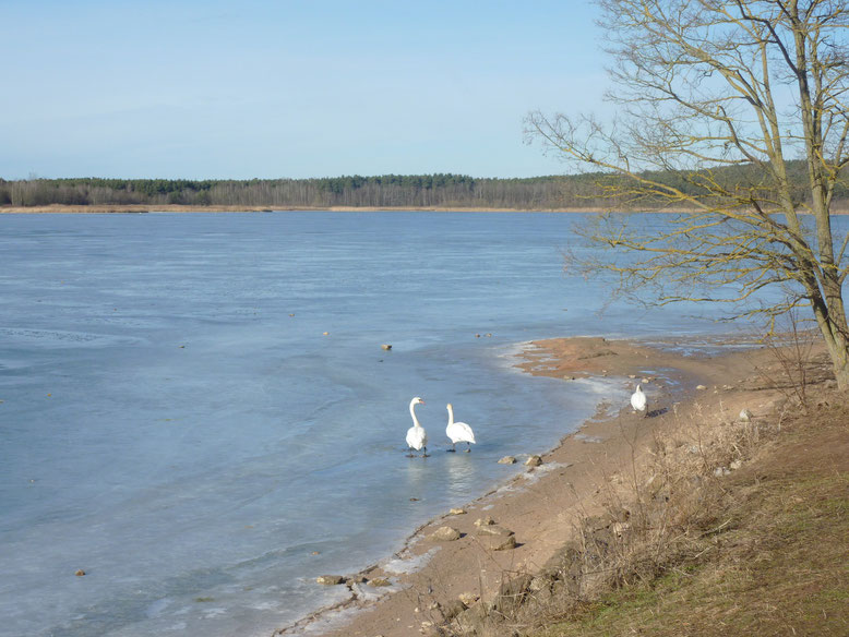 Ein herrlicher Februar-Tag am Rothsee!