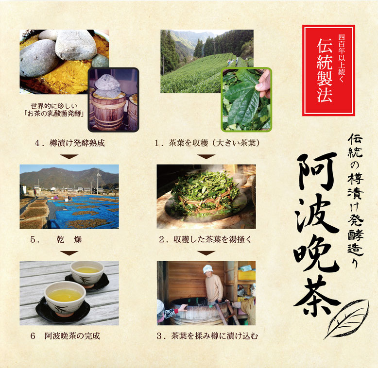 阿波晩茶物語 井川発酵株式会社 Ikawahakko