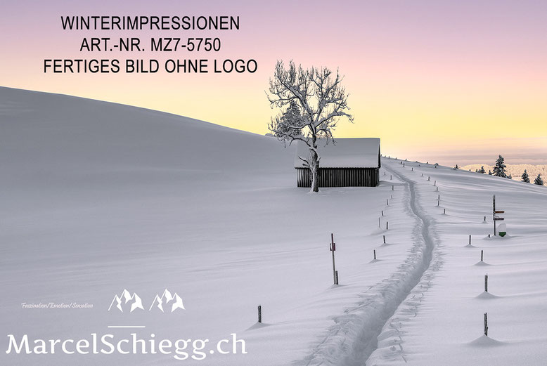 Marcel Schiegg Fotografie, Wandbilder, Winterlandschaft, Winterzauber, Winterimpressionen, Alpstein, Appenzell, Appenzellerland, Schweiz