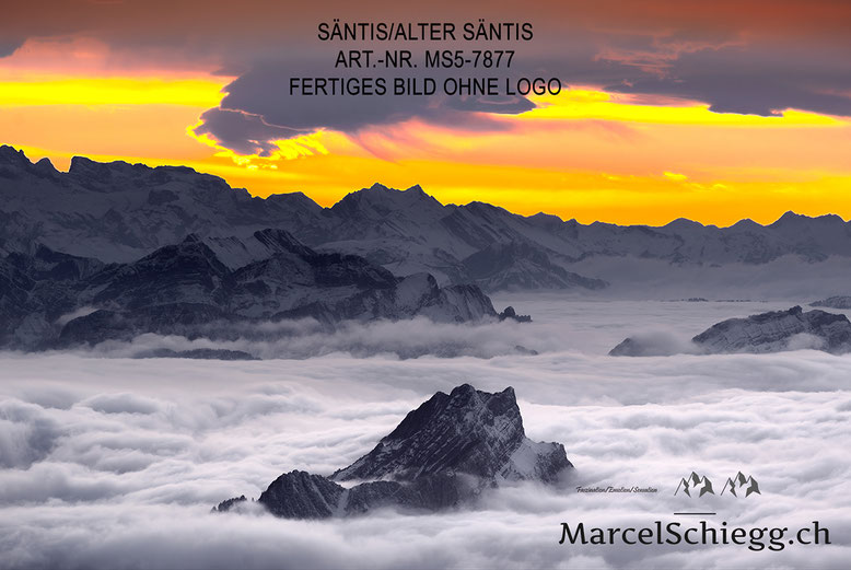 Säntis, Alter Säntis, Sonnenuntergang, Nebelmeer
