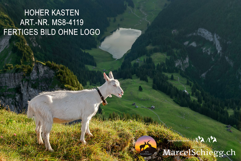 Hoher Kasten, Sämtisersee, Appenzell, Appenzellerland, Alpstein