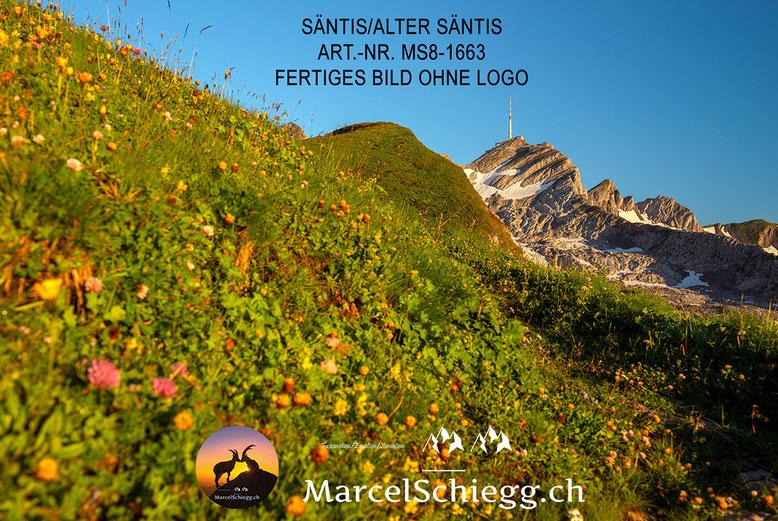 Säntis, Alter Säntis, Wandbild