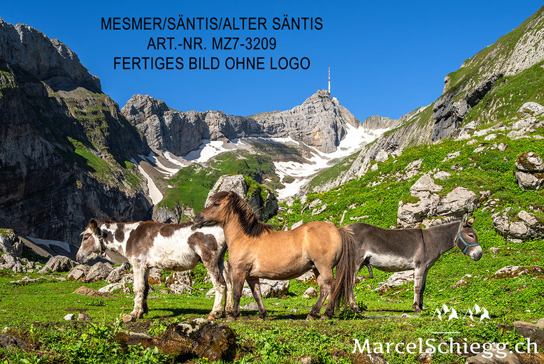 Säntis, Alter Säntis, Berggasthaus Alter Säntis, Berggasthaus Mesmer