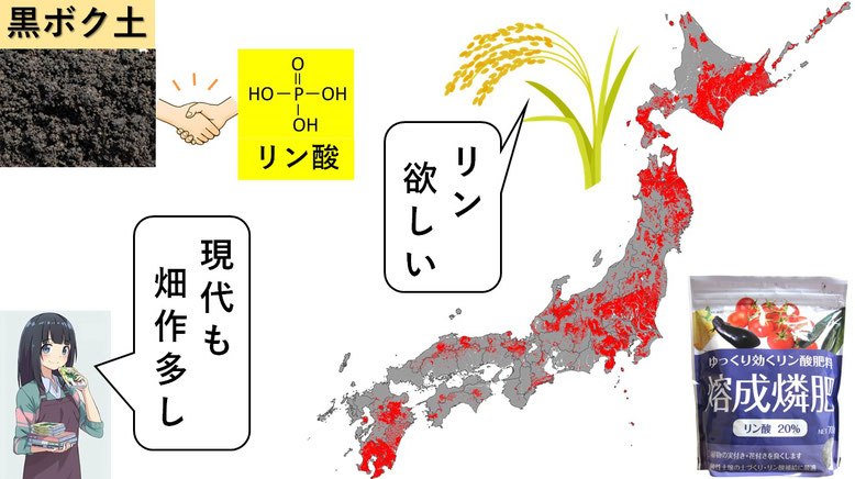 稲作の敵 黒ボク土
