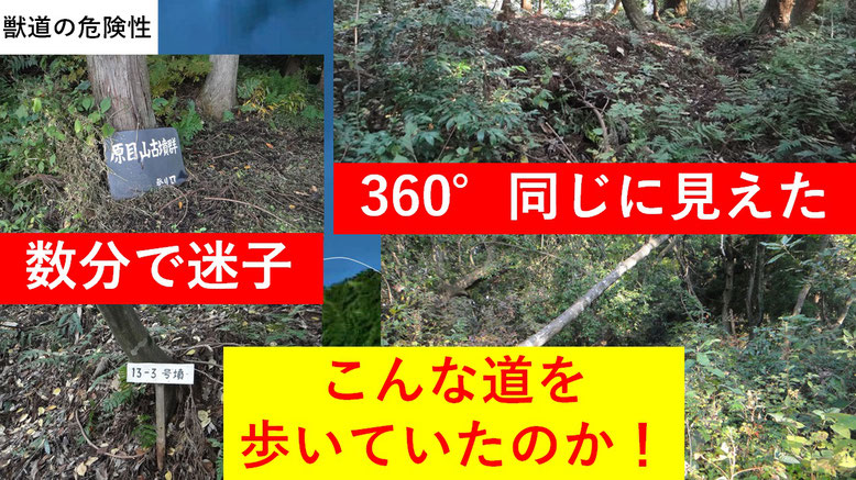 投馬２０