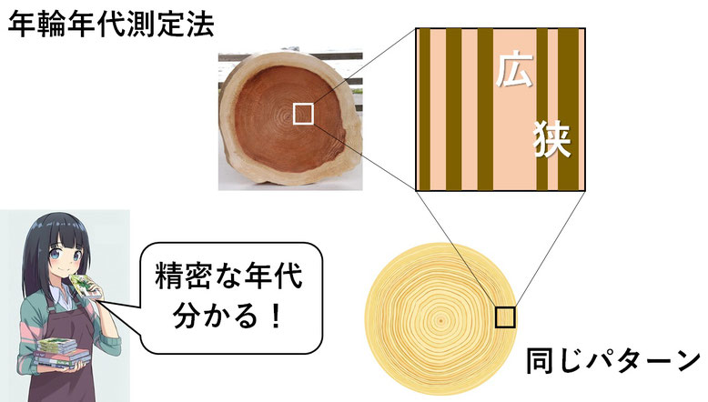 年輪年代測定法 絶対年代がわかる