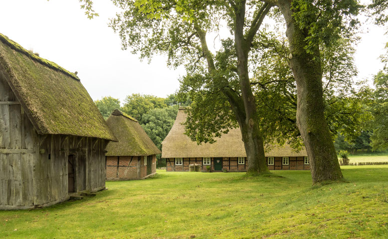 Bild: Malerische, strohgedeckte Häuser in Wilsede