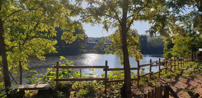 Vue sur l'Allier depuis la terrasse du camp de base des S'Crabes