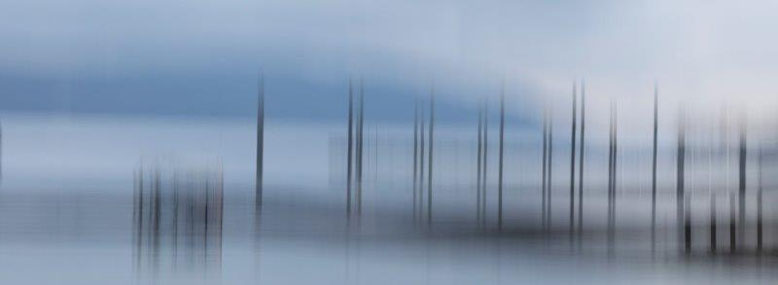 Foto: Mechthild Stein