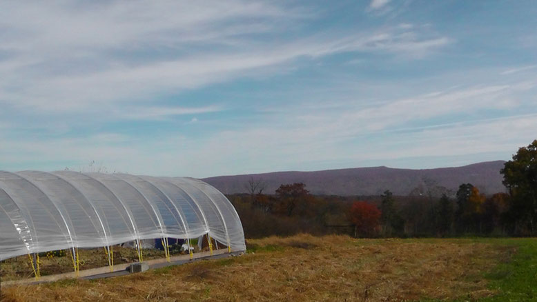 Photo of Purple Rooster Organics Hoop House