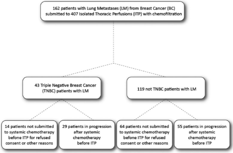 Flussdiagramm zur Aufteilung von Brustkrebspatientinnen mit Lungenmetastasen, die eine isolierte Thoraxperfusion mit Chemofiltration erhielten, unterteilt nach TNBC und nicht-TNBC.